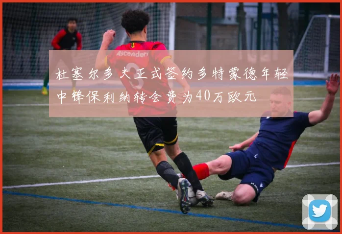 杜塞尔多夫正式签约多特蒙德年轻中锋保利纳转会费为40万欧元