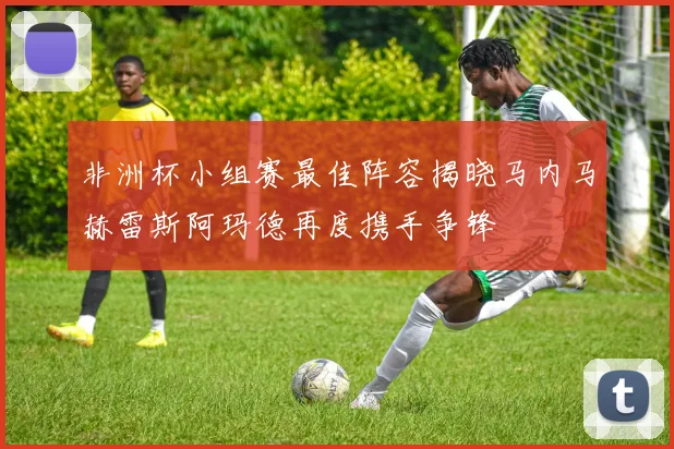 非洲杯小组赛最佳阵容揭晓马内马赫雷斯阿玛德再度携手争锋