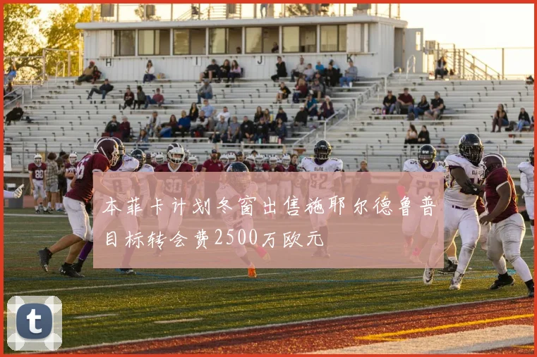 本菲卡计划冬窗出售施耶尔德鲁普目标转会费2500万欧元